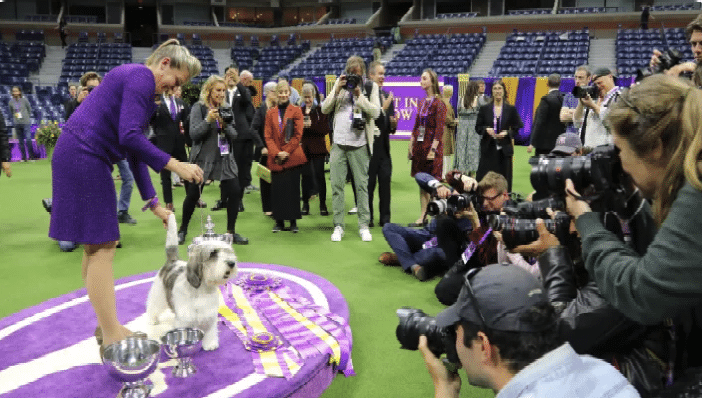 A woman in a purple dress is presenting a dog with a trophy.